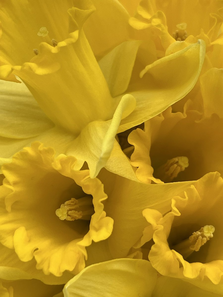 ivanunframed's tweet photo. Ready for spring? https://t.co/hfng9gRbgL https://t.co/dyLtiUZzCO