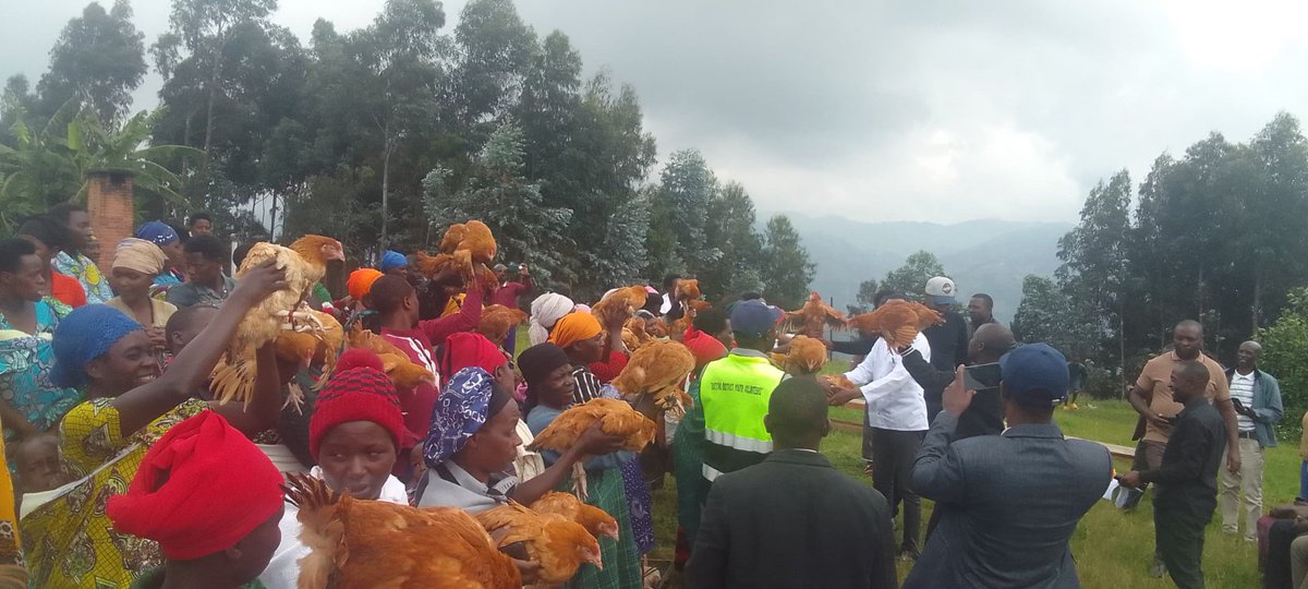 @Rutsiro RYVCP tweet media