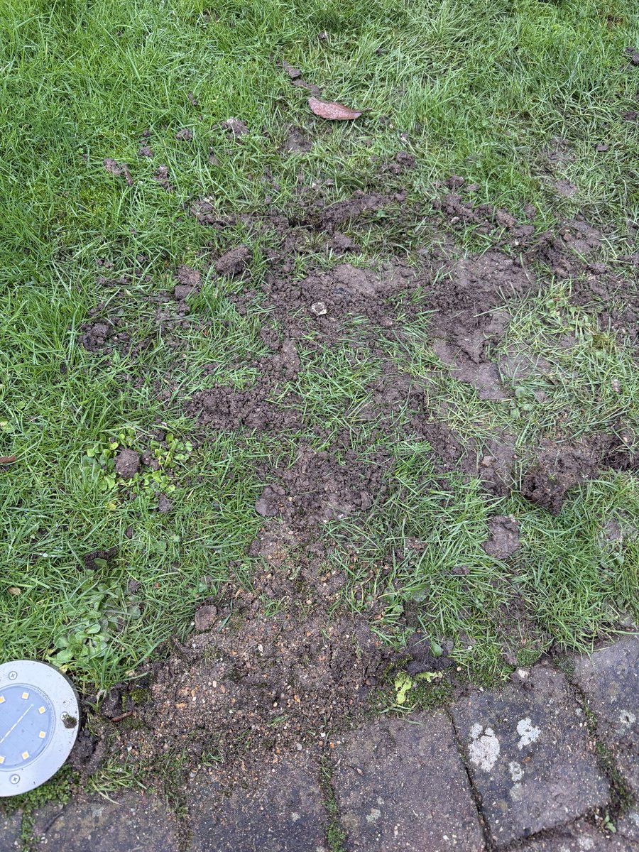 a_stretch1's tweet photo. @virginmedia https://t.co/4X7KnEdHeY