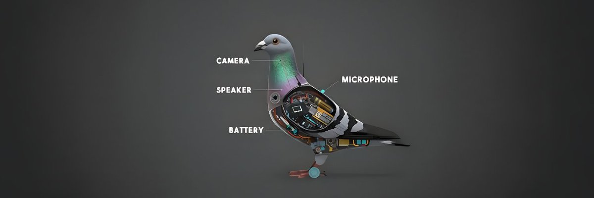 We are currently finishing the research on more advanced $BIRDS technologu to finish this picture with every detail.