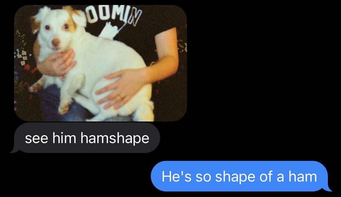 eroscestlavie_x's tweet image. I love the to this day people are still interacting with this text I sent my wife about my dog looking like a ham.