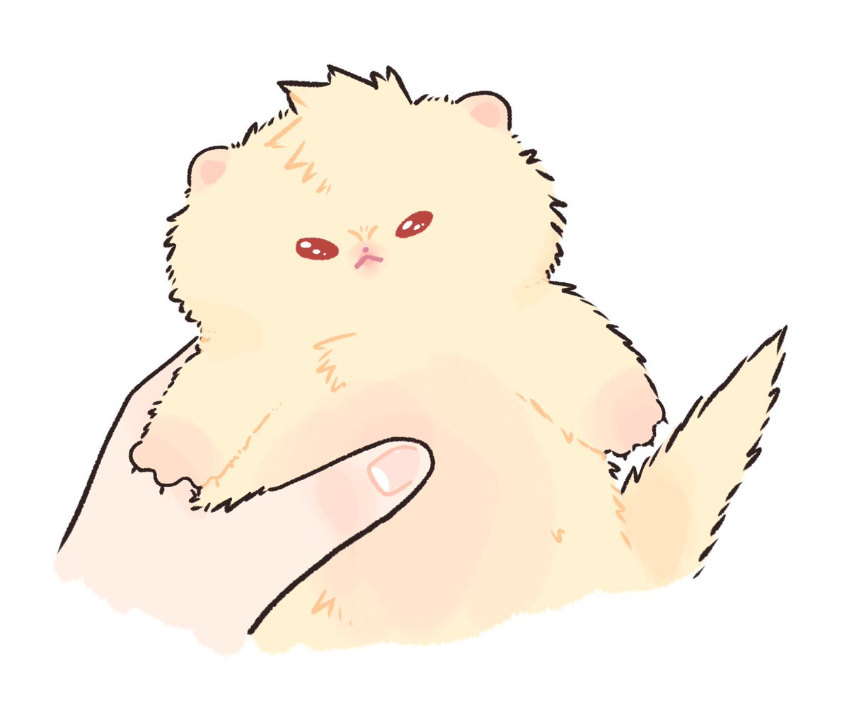 ⋆。°✩ ♡🐱♡ ✩•° . tweet media