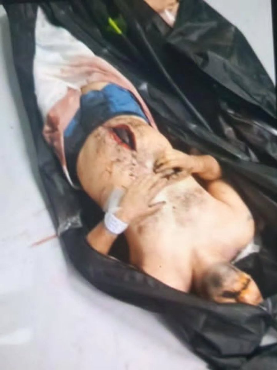 شیردُخت✨️🇮🇷 tweet media