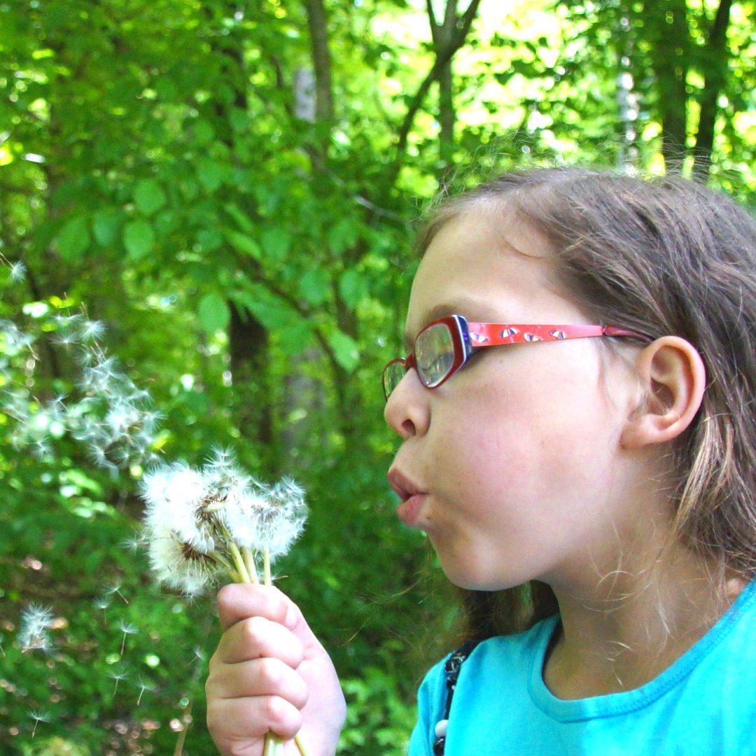 Myopia is estimated to affect more than 1.6 billion people worldwide, and that number is growing rapidly as children spend more time indoors and on screens. Vision therapy and Orthokeratology are two effective techniques for myopia control. 
zurl.co/ILNRp
 #optometry