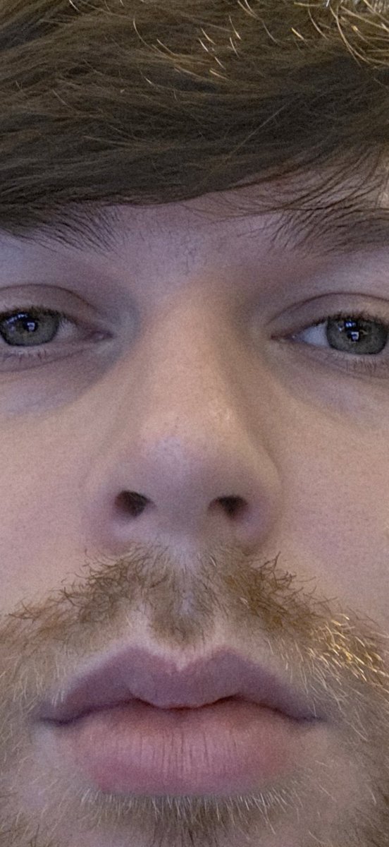 BitMoreDave 🎮 tweet media