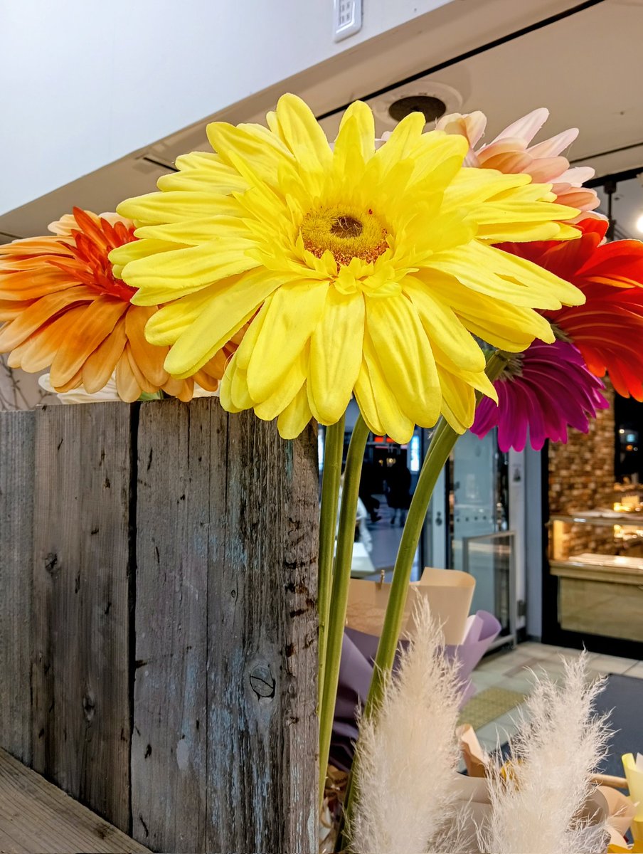 ryu ryu 🍥 ❌No DMs please🍥🐯🎹🎸 fx 🍚🌼🍺… (@ryuryu20981567