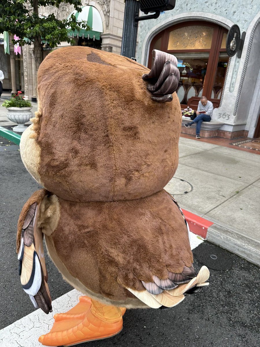 この鳥は元気にしてるんかなところでこの子なんていう子やっけ？ 結局