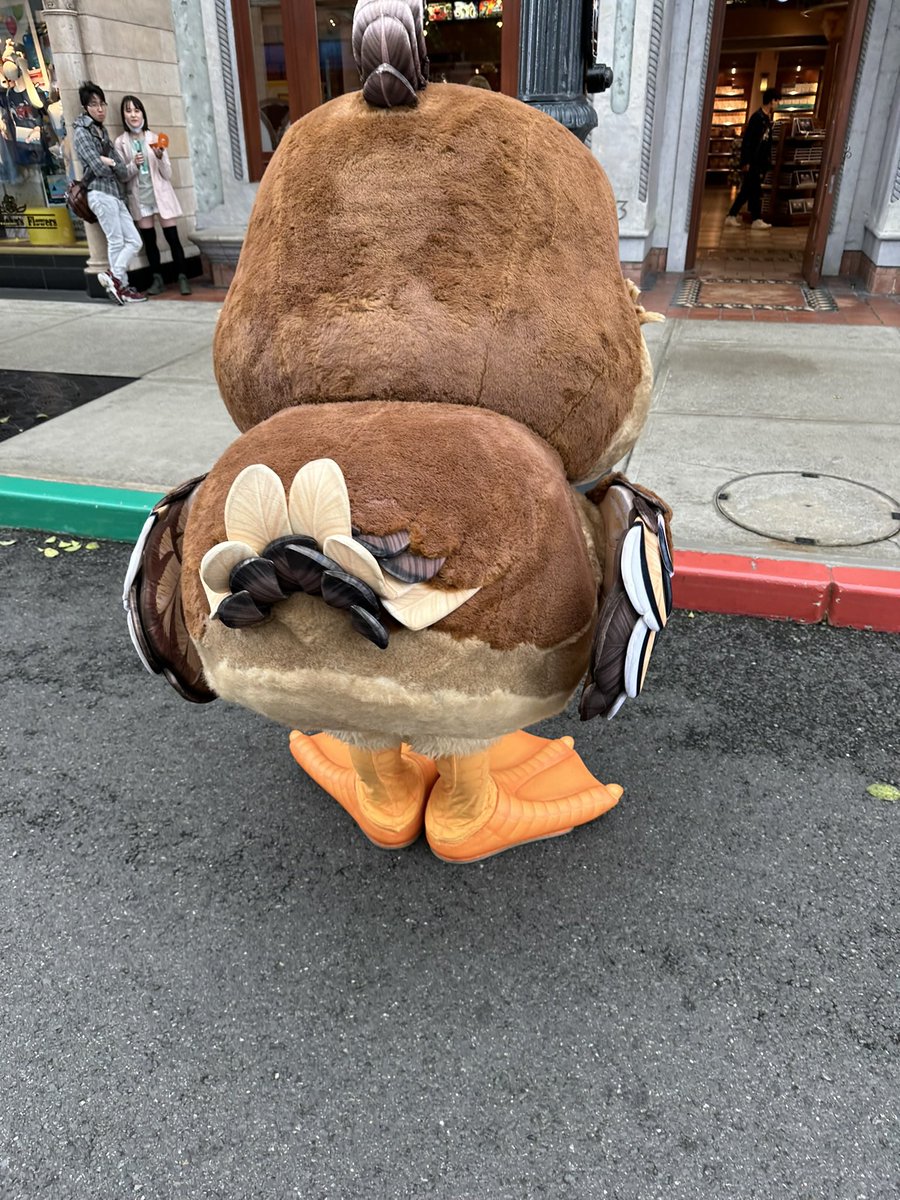 この鳥は元気にしてるんかなところでこの子なんていう子やっけ？ 結局