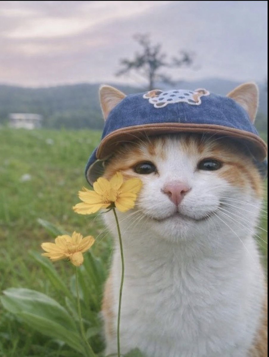 ᅠ ᅠ (@greendreaams) on Twitter photo 