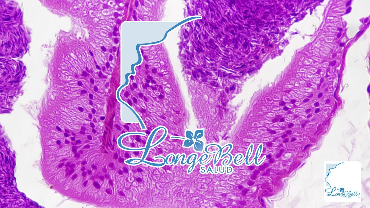 LongeBellSalud's tweet photo. ✅ La importancia de las #Hormonas a cualquier edad

❤️ te lo contamos en nuestro blog #LongeBell

Pasa que te cuento 👉 https://t.co/veUtoPcyYI https://t.co/KW2R9nek2w
