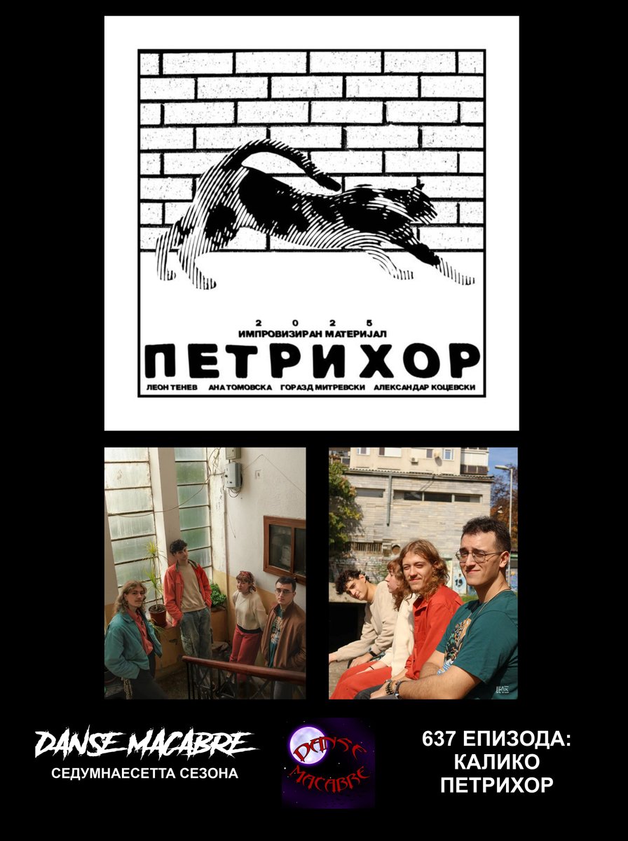 kanal 103 tweet media