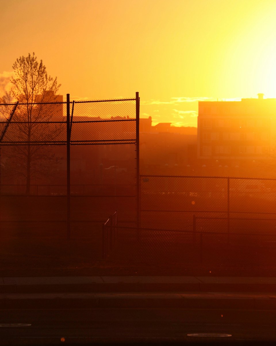 Unsplash tweet media