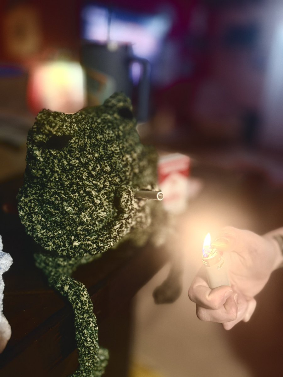 my partner made another plush