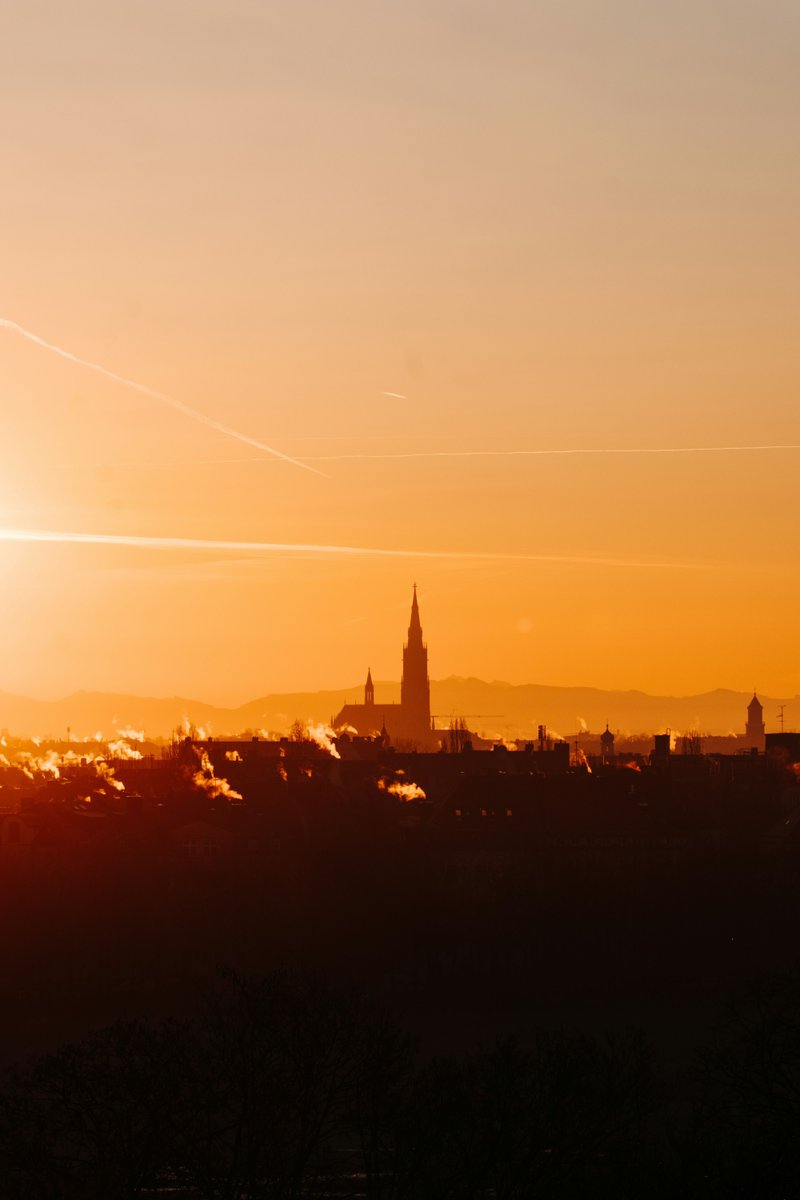 Unsplash tweet media