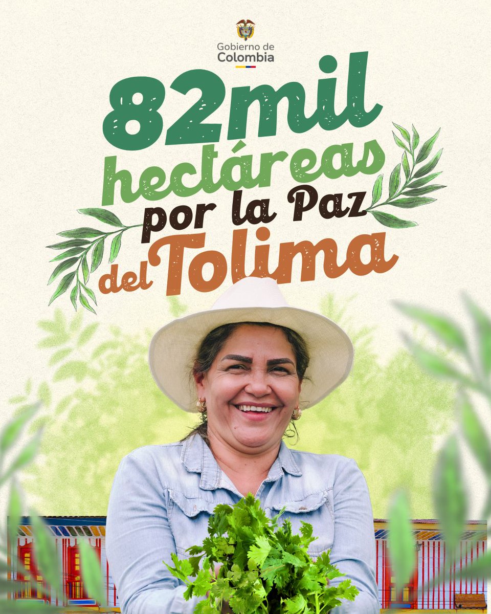 82.000 hectáreas que marcan para el Tolima el mayor avance agrario en la historia del departamento. Esto se suma a las 5.443 hectáreas ya entregadas a 483 familias durante el Gobierno del presidente Gustavo Petro.

#ConTierraCumplimos