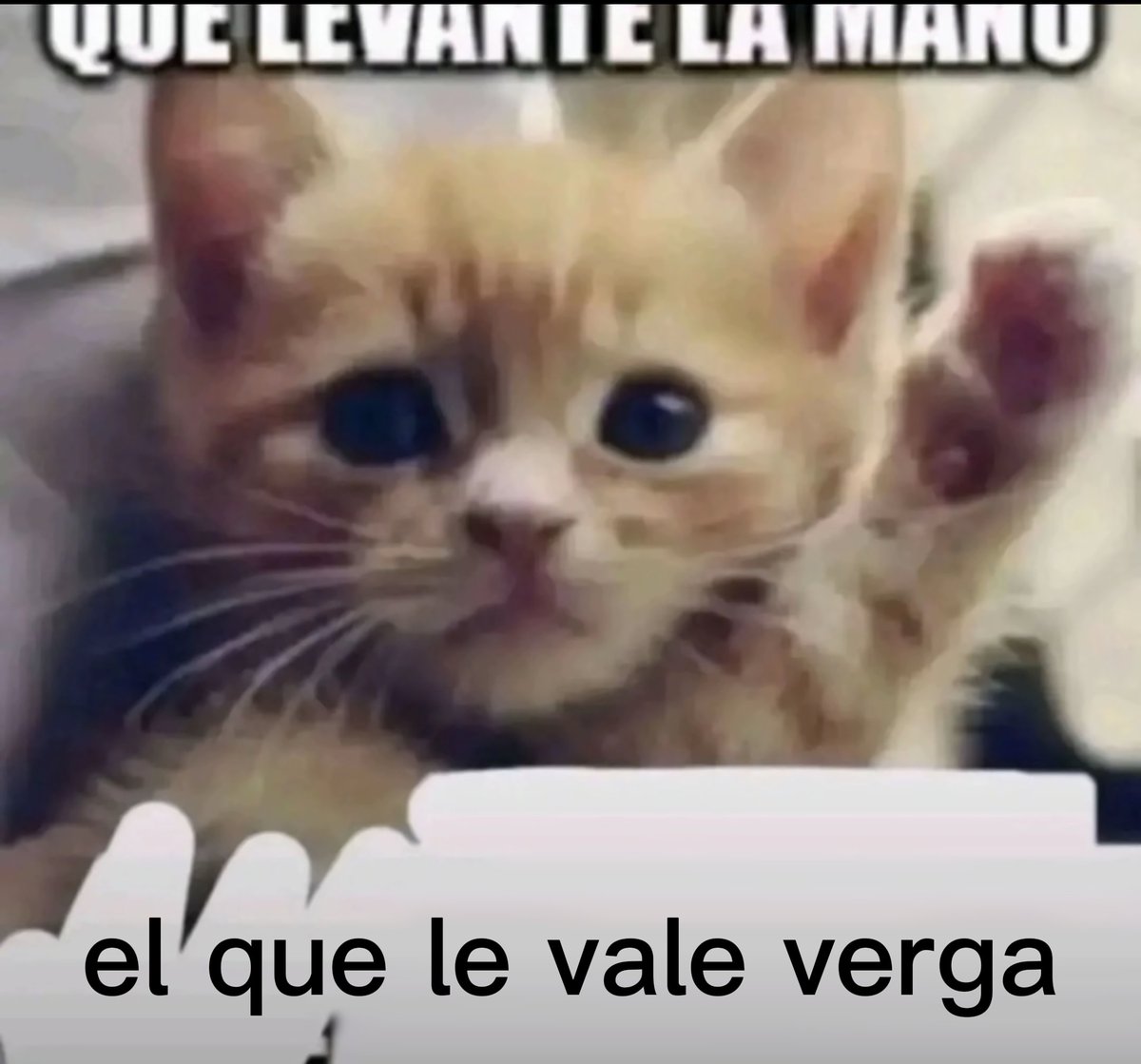 Ono8_6's tweet photo. @danicort97 @prettyincherry Pasiva liosa https://t.co/Jc7MF4c2dd