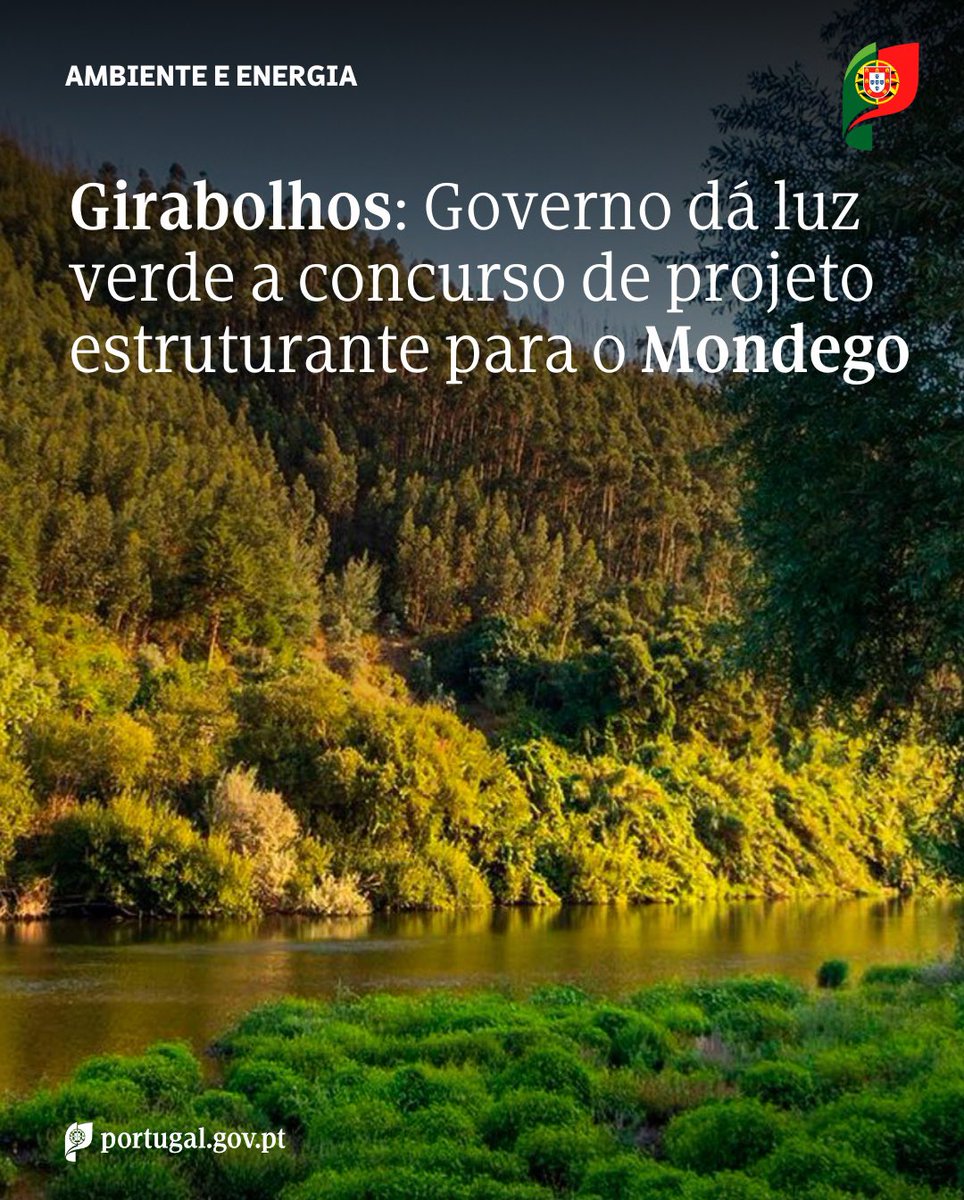 Maria Graça Carvalho tweet media