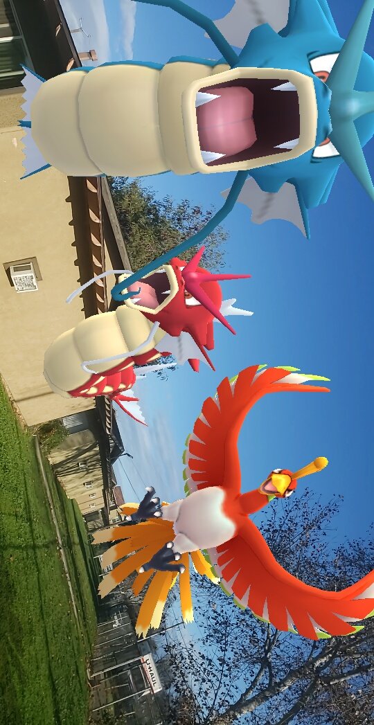LadyBellatrixe's tweet photo. #GOsnapshotCelebration #PokemonGO https://t.co/Cd1P5LsGQS