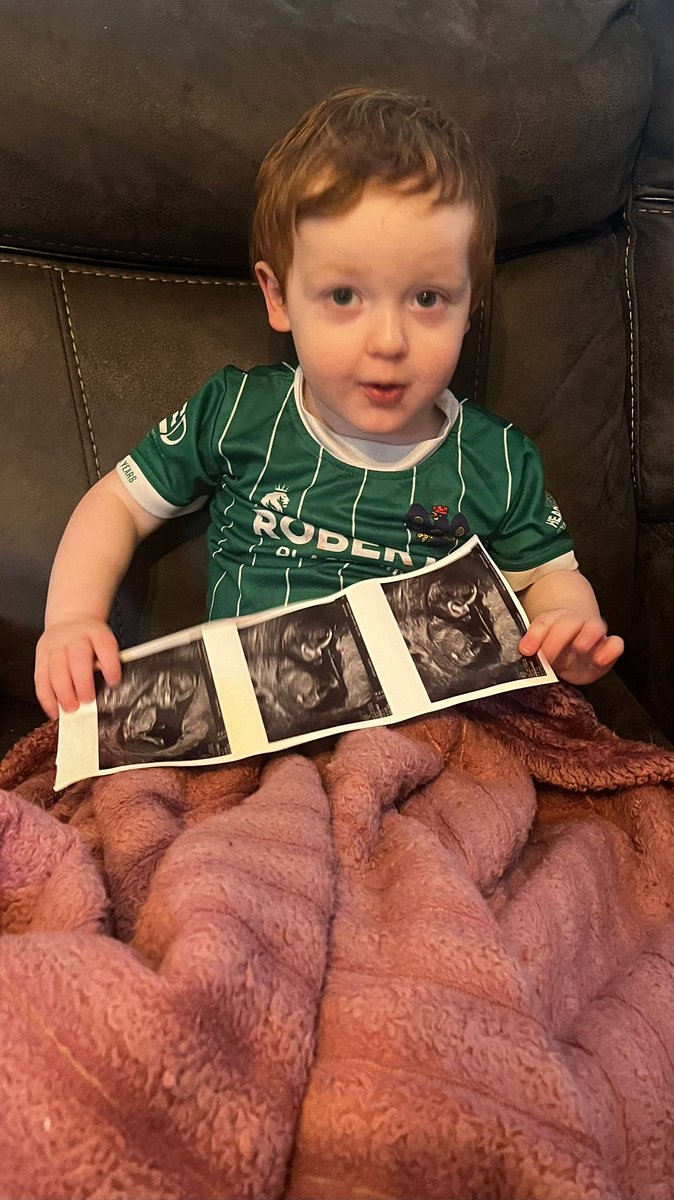 The Drillfield Collective tweet media