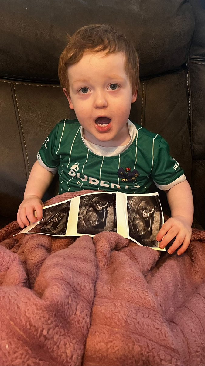 The Drillfield Collective tweet media