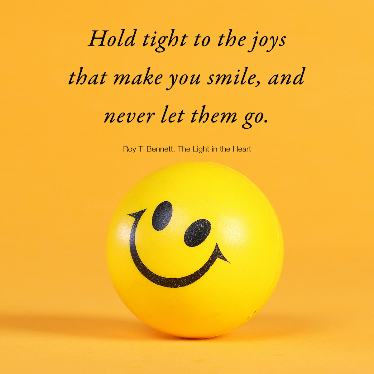Hold tight to the joys that make you smile, and never let them go.
Roy T. Bennett, The Light in the Heart