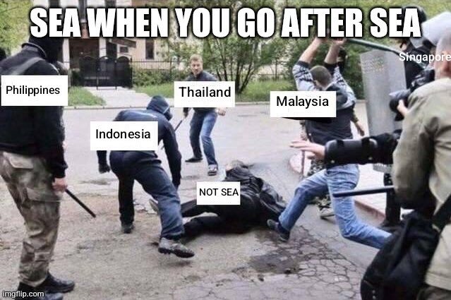 SEA when an outsider insults one of them😭 :