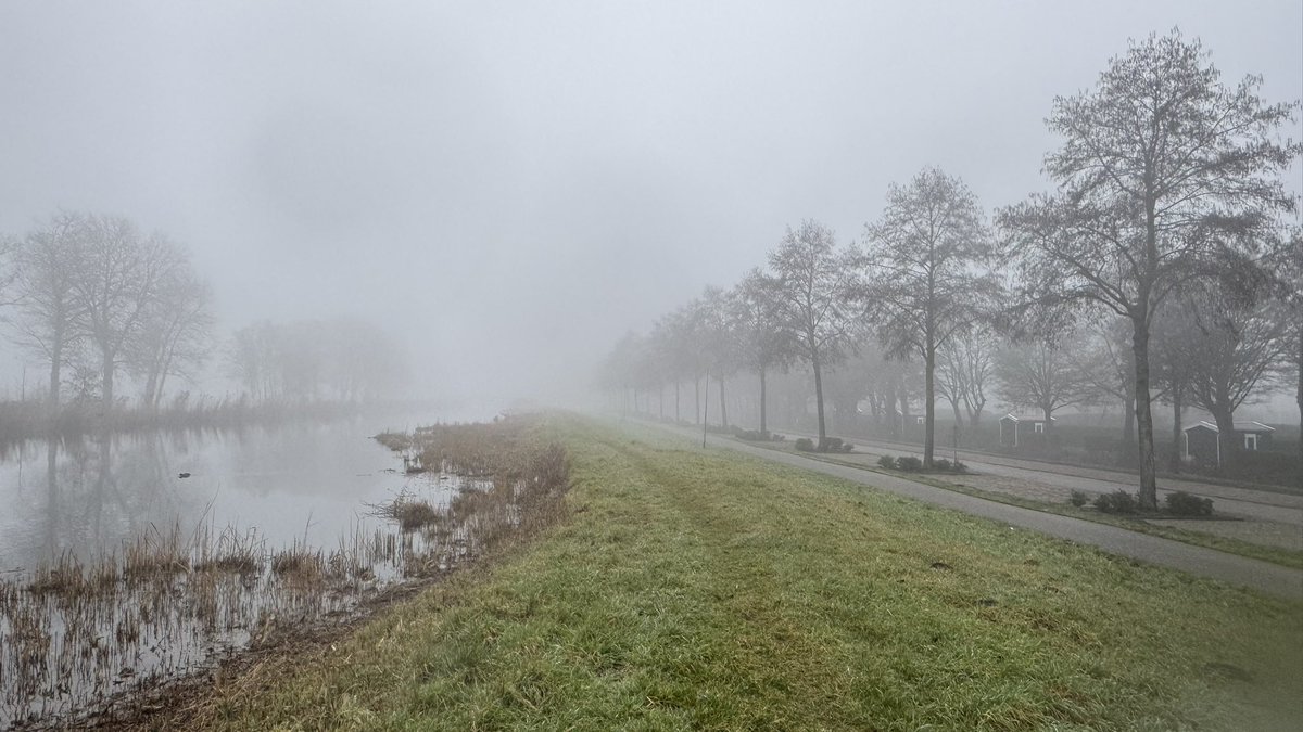 Jolanda Bakker tweet media