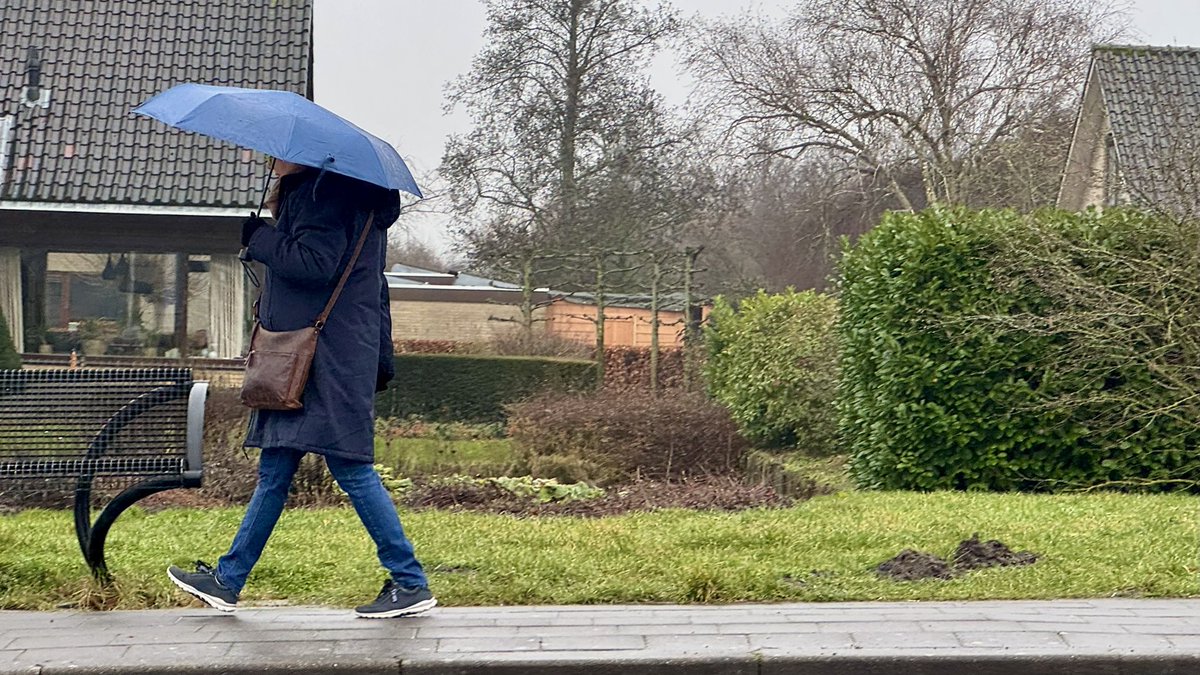 Jolanda Bakker tweet media