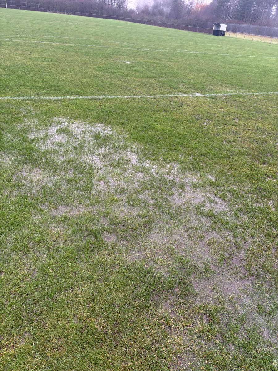 AFC Dudley tweet media