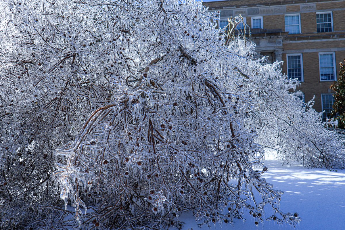 Ole Miss Engineering tweet media