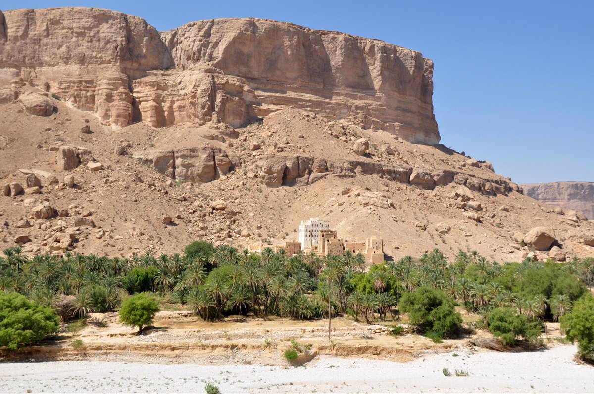 Untamed Borders tweet media