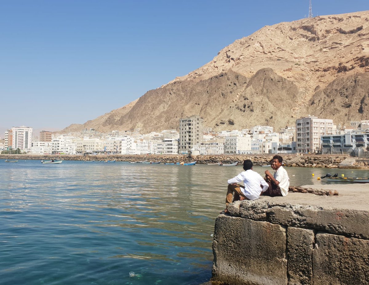 Untamed Borders tweet media