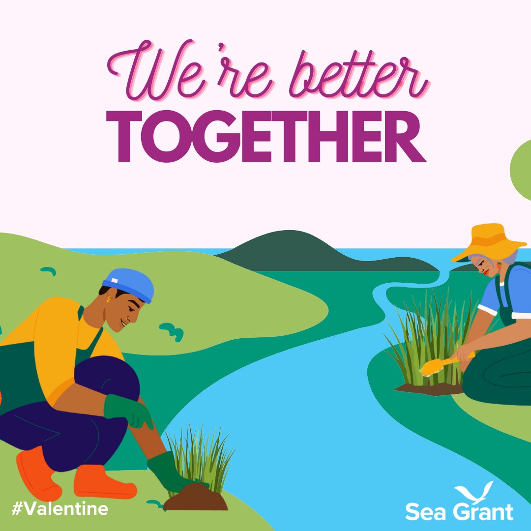 NOAA Sea Grant tweet media