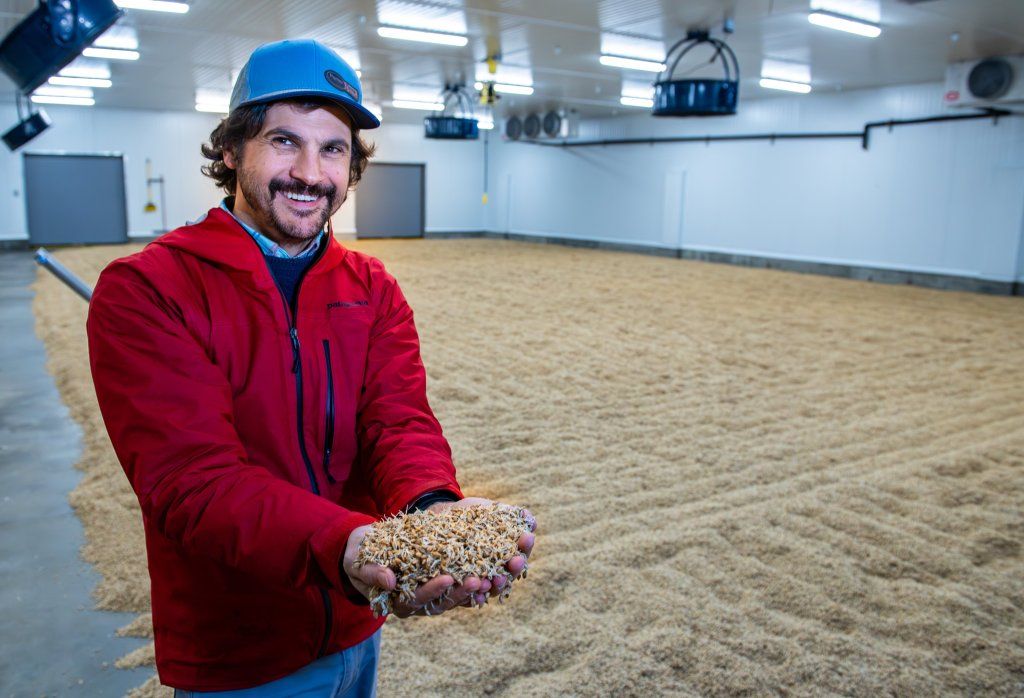 BlueOxMalthouse tweet media