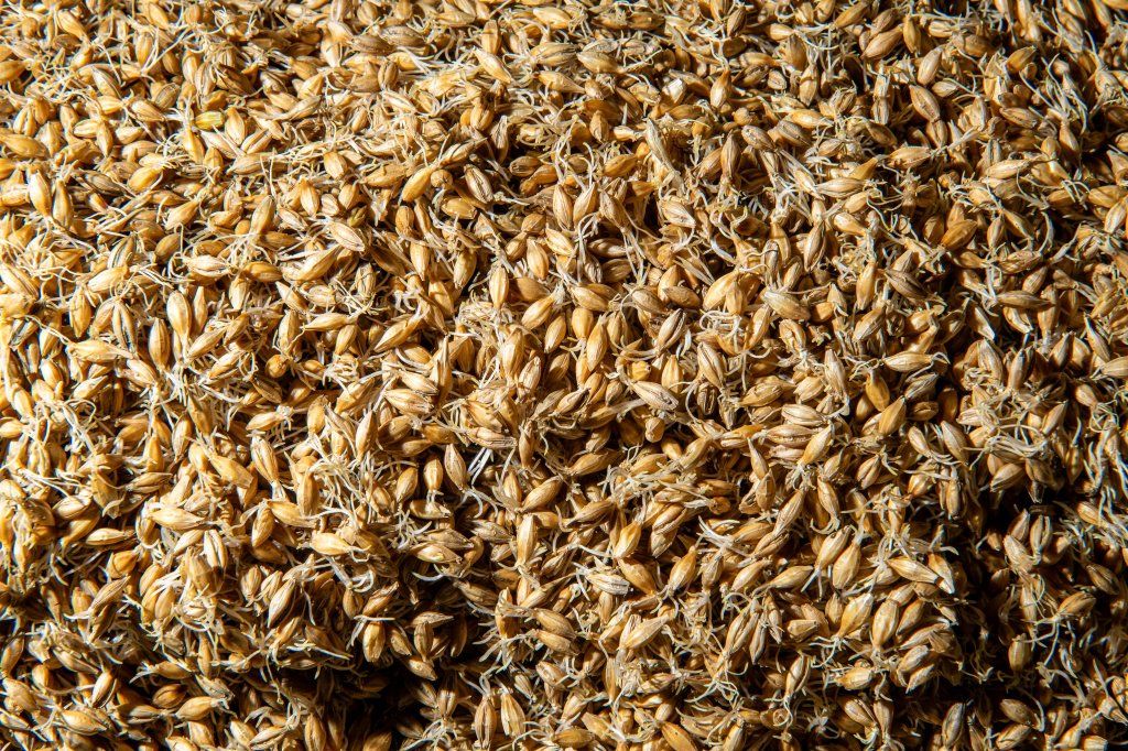 BlueOxMalthouse tweet media