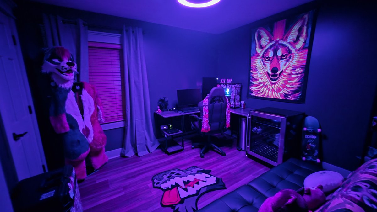 🌿Dog With A Blog🌿🔜FE tweet media