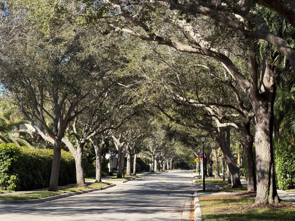 Philip Greenspun tweet media