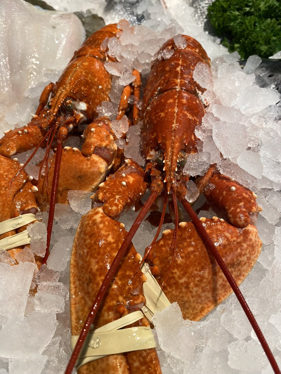 The Easy Fish Co. tweet media