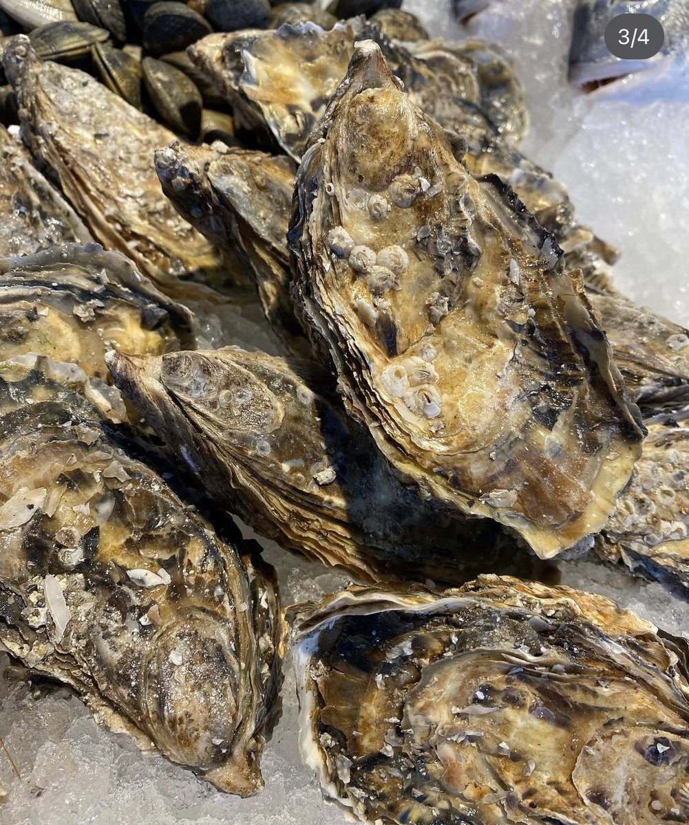 The Easy Fish Co. tweet media