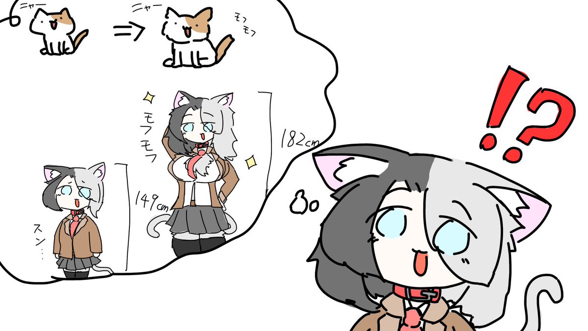 しおり猫 tweet media