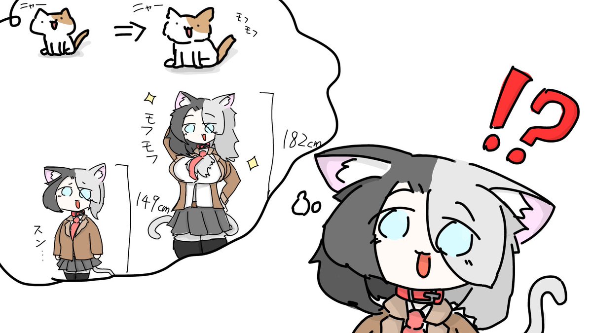しおり猫 tweet media