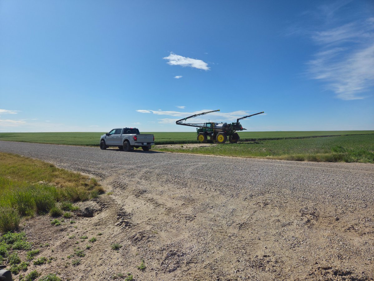 Sterling Mitchell 🇨🇦 tweet media