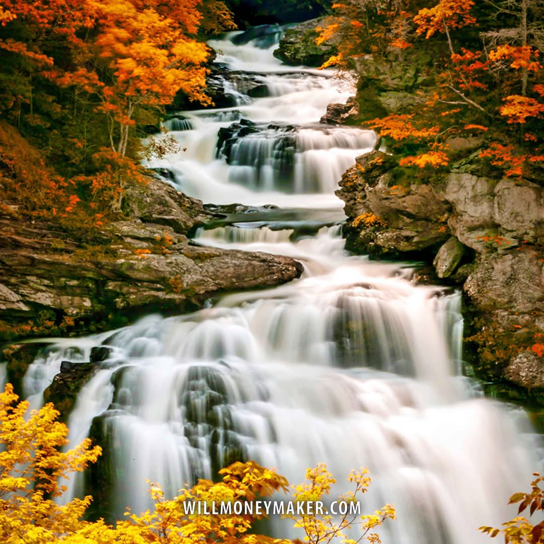 Will Moneymaker tweet media