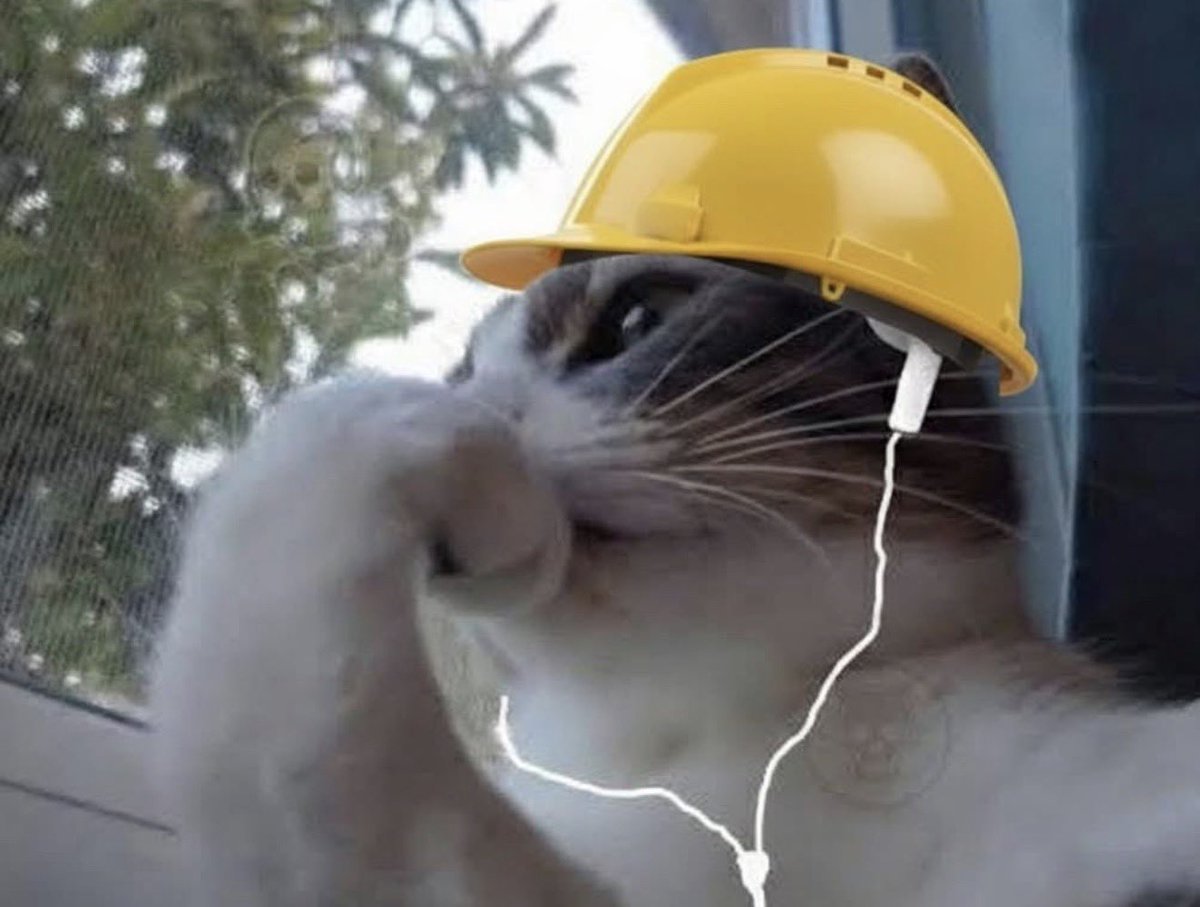 *Alguien me habla en el jale*

Yo con mis audífonos al 200: