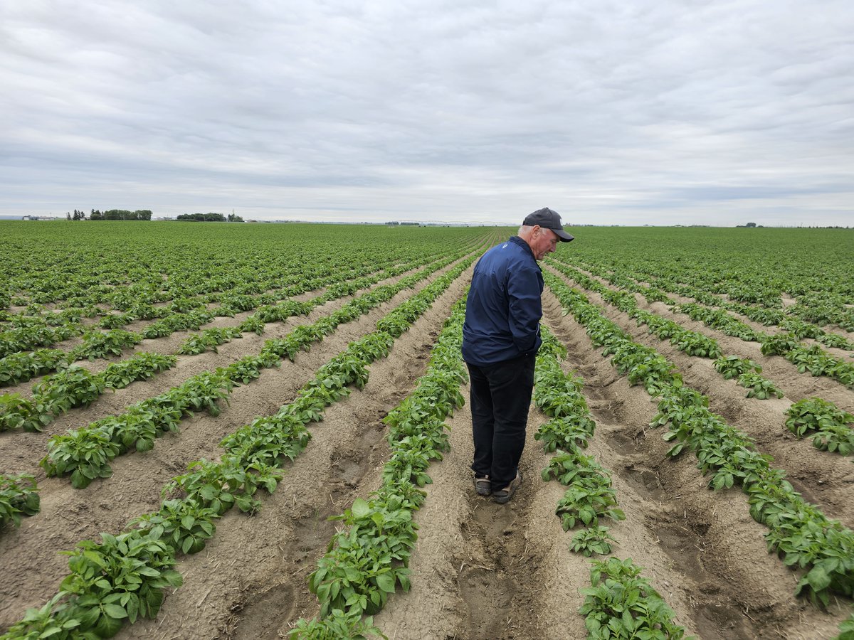 Sterling Mitchell 🇨🇦 tweet media