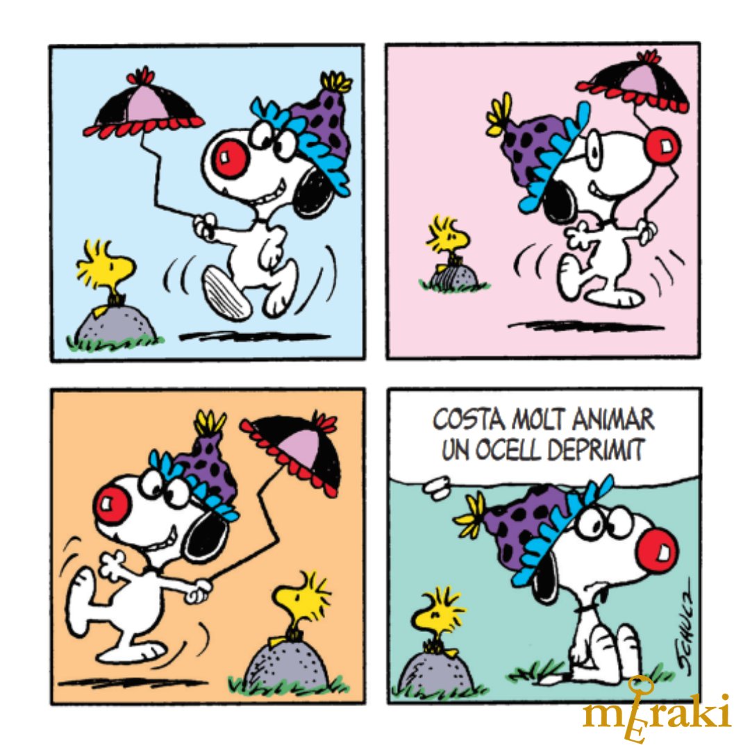 Meraki Editorial tweet media