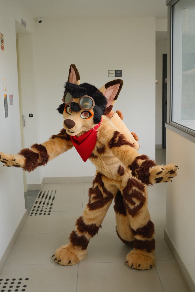 fenneckiro's tweet image. Excited to meet you guys at NFC!! ✨️