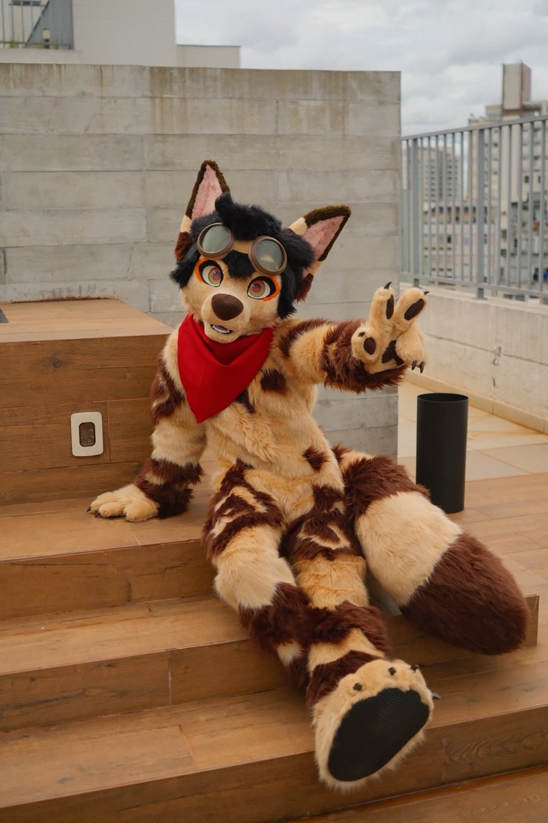 fenneckiro's tweet image. Excited to meet you guys at NFC!! ✨️