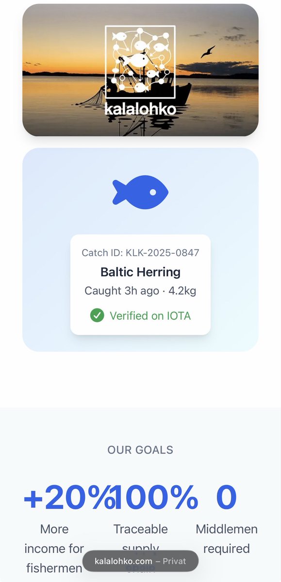 louie.iota tweet media