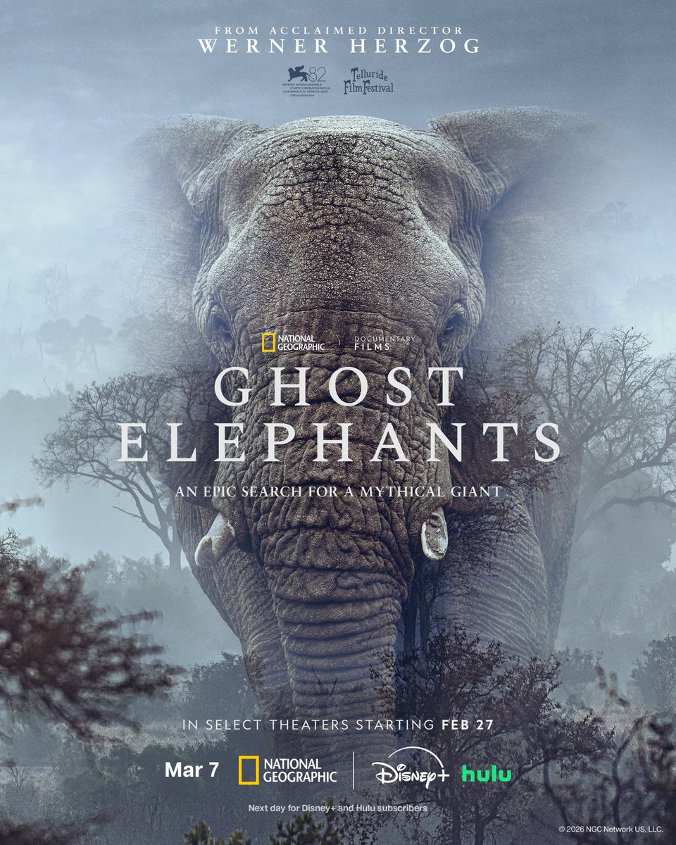 #GhostElephants follows an epic search for legendary elephants hidden deep in the highlands of Angola, led by National Geographic Explorer Dr. Steve Boyes and directed by acclaimed filmmaker Werner Herzog. In select theaters February 27. Premieres March 7 at 9/8c on @natgeotv.